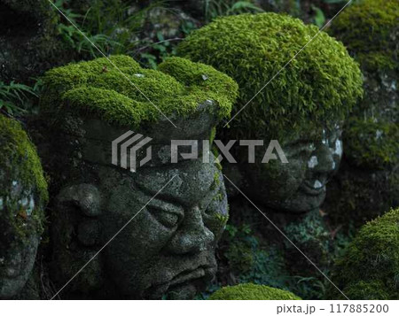 嵯峨の静寂へ 117885200