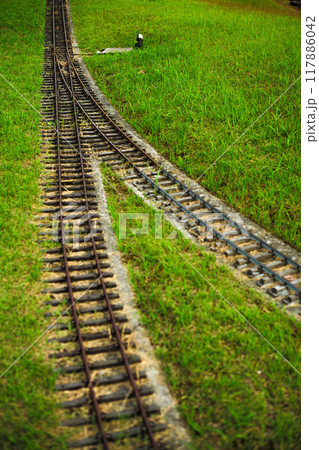 芝生の中の鉄道 芝生の中の鉄道 117886042