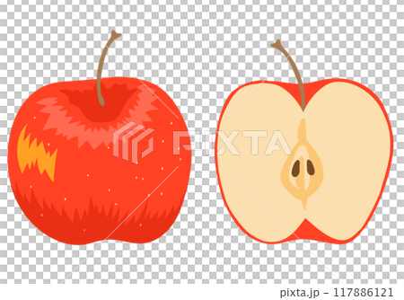 一個蘋果和橫斷面 117886121