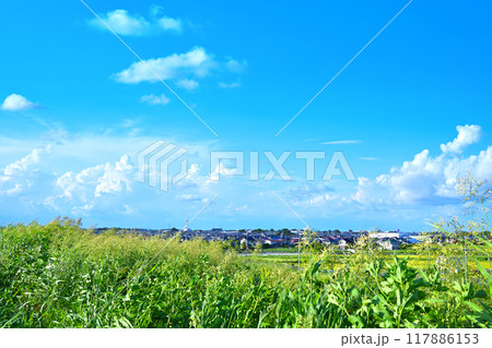 青い空と白い雲　街並と田圃　夕陽ケ丘付近　さいたま市　　　 117886153