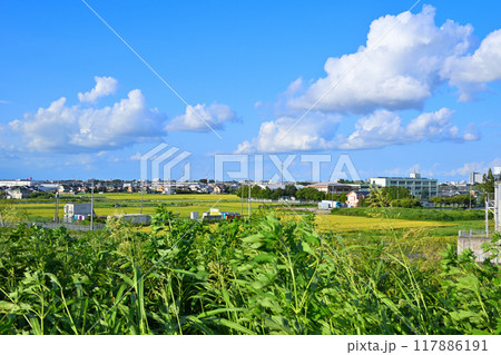 青い空と白い雲　街並と田圃　夕陽ケ丘付近　さいたま市　　　 117886191