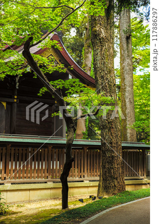 夏の尾山神社 夏の尾山神社 117886297
