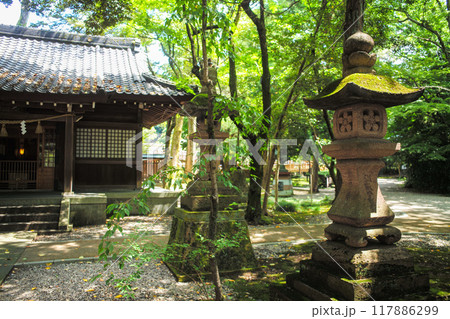 夏の尾山神社 117886299