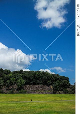しいのき緑地 117886436