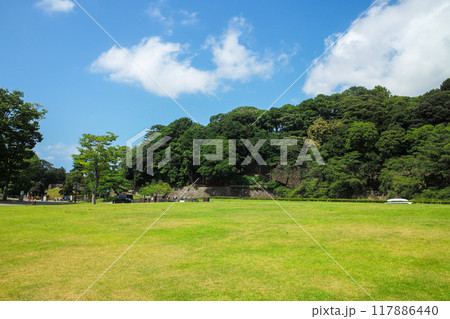 しいのき緑地 しいのき緑地 117886440