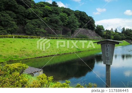 しいのき緑地 しいのき緑地 117886445