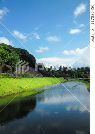 しいのき緑地 117886450