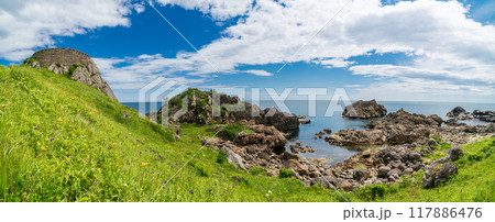 「青森県」葦毛崎展望台・種差海岸　みちのく潮風トレイル　夏 117886476