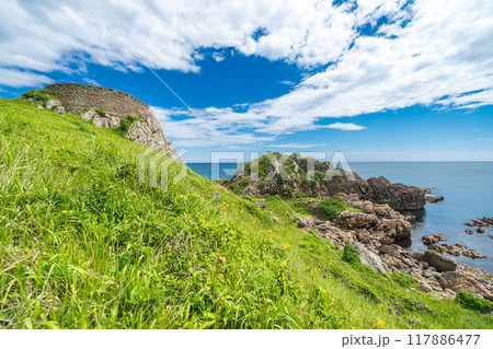 「青森県」葦毛崎展望台・種差海岸　みちのく潮風トレイル　夏 117886477