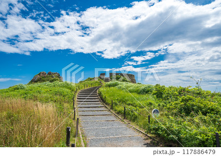 「青森県」葦毛崎展望台・種差海岸　みちのく潮風トレイル　夏 117886479