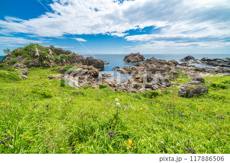 「青森県」葦毛崎海岸・種差海岸　夏 117886506