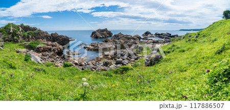 「青森県」葦毛崎海岸・種差海岸 夏 「青森県」葦毛崎海岸・種差海岸 夏 117886507