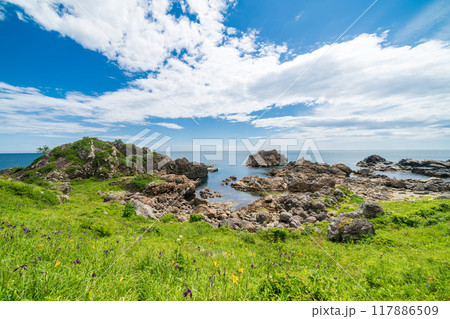 「青森県」葦毛崎海岸・種差海岸　夏 117886509