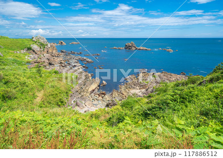 「青森県」葦毛崎海岸・種差海岸 夏 「青森県」葦毛崎海岸・種差海岸 夏 117886512