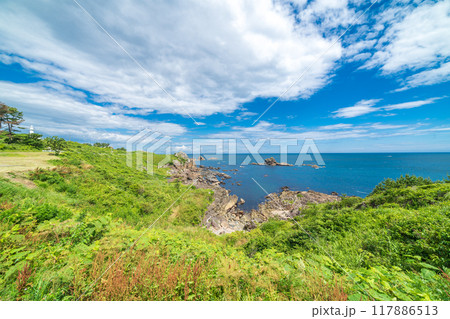 「青森県」葦毛崎海岸・種差海岸 夏 「青森県」葦毛崎海岸・種差海岸 夏 117886513
