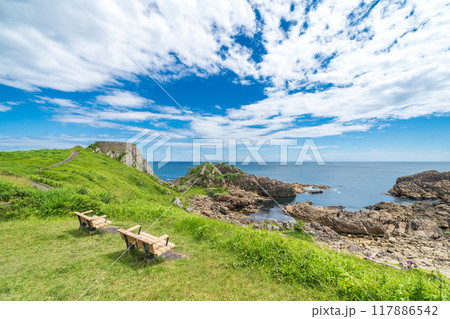 「青森県」種差海岸・葦毛崎展望台 みちのく潮風トレイル 夏 「青森県」種差海岸・葦毛崎展望台 みちのく潮風トレイル 夏 117886542