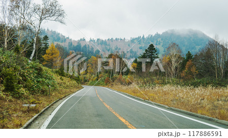 志賀草津高原ルートの秋【上信越高原国立公園】長野県 志賀草津高原ルートの秋【上信越高原国立公園】長野県 117886591