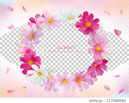 Vector illustration frame of cosmos flowers drawn by watercolor 117886680