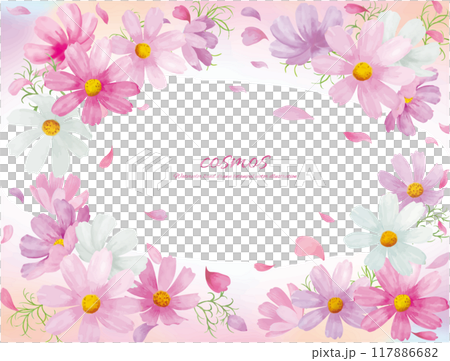 水彩手書きのコスモスの花のベクターイラストフレーム 水彩手書きのコスモスの花のベクターイラストフレーム 117886682