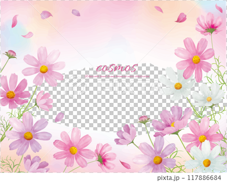 Vector illustration frame of cosmos flowers drawn by watercolor Vector illustration frame of cosmos flowers drawn by watercolor 117886684