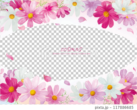 Vector illustration frame of cosmos flowers drawn by watercolor 117886685