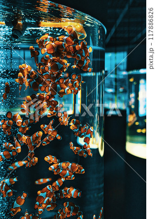 水に浮かぶガラスの器 117886826