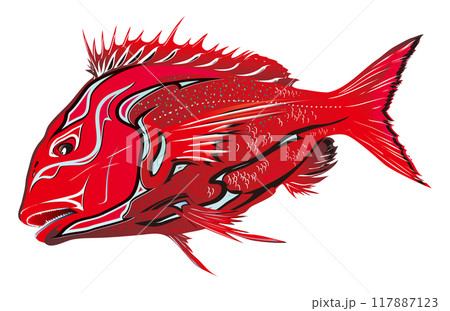 凜々しい深紅のマダイ魚体に歌舞伎舞台の白黒隈取化粧をアレンジした日本の伝統的的祝鯛イラストレーション 凜々しい深紅のマダイ魚体に歌舞伎舞台の白黒隈取化粧をアレンジした日本の伝統的的祝鯛イラストレーション 117887123