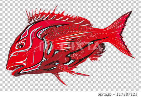 凜々しい深紅のマダイ魚体に歌舞伎舞台の白黒隈取化粧をアレンジした日本の伝統的的祝鯛イラストレーション 凜々しい深紅のマダイ魚体に歌舞伎舞台の白黒隈取化粧をアレンジした日本の伝統的的祝鯛イラストレーション 117887123
