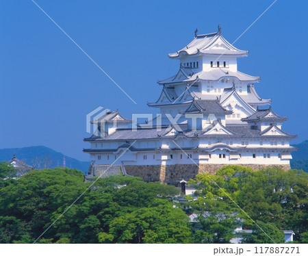 「世界文化遺産」「国宝」姫路城（白鷺城）/男山配水池公園、男山山頂展望台より撮影/姫路城十景の一つ 117887271
