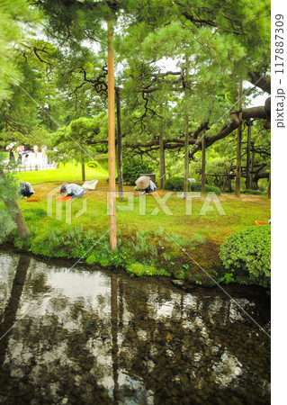 兼六園の庭師が手入れする風景 兼六園の庭師が手入れする風景 117887309