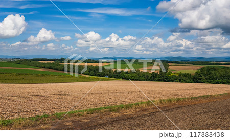 田舎の田園風景 117888438
