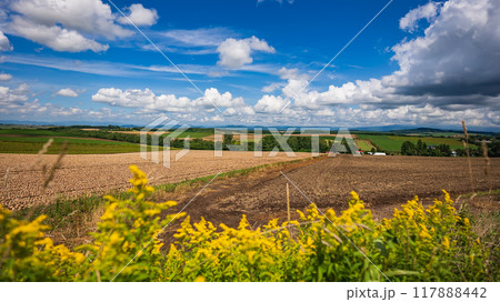 田舎の田園風景 117888442