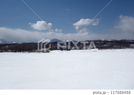 冬の北海道の雪景色《北海道》 冬の北海道の雪景色《北海道》 117888488