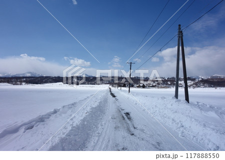 北海道の冬の農村道《北海道》 北海道の冬の農村道《北海道》 117888550