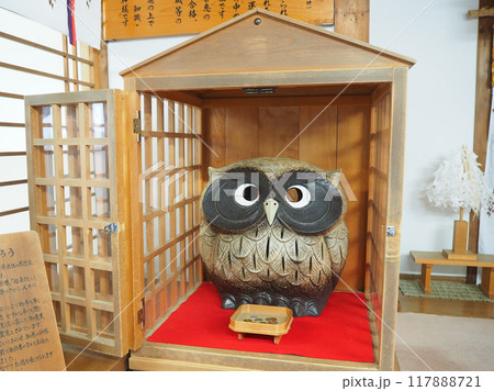 智恵ふくろう 智恵ふくろう 117888721
