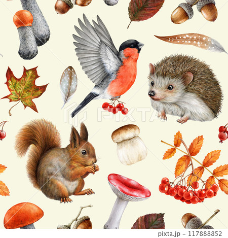 Vintage style fall season seamless pattern with forest animals, natural elements. Watercolor illustration. Cute hedgehog, red squirrel, forest mushrooms, fallen leaves seamless pattern in warm colors Vintage style fall season seamless pattern with forest animals, natural elements. Watercolor illustration. Cute hedgehog, red squirrel, forest mushrooms, fallen leaves seamless pattern in warm colors 117888852