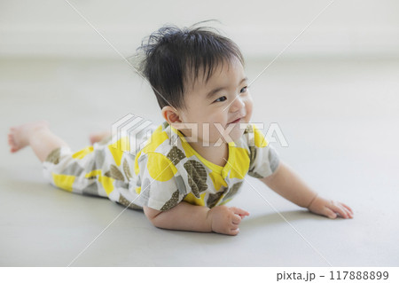 ハイハイする赤ちゃん ハイハイする赤ちゃん 117888899