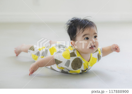 ハイハイする赤ちゃん ハイハイする赤ちゃん 117888900