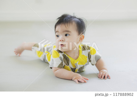 ハイハイする赤ちゃん ハイハイする赤ちゃん 117888902