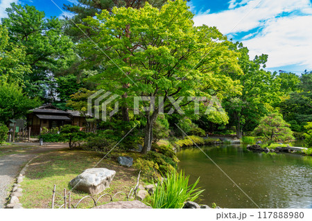 夏の札幌 中島公園 北海道 夏の札幌 中島公園 北海道 117888980