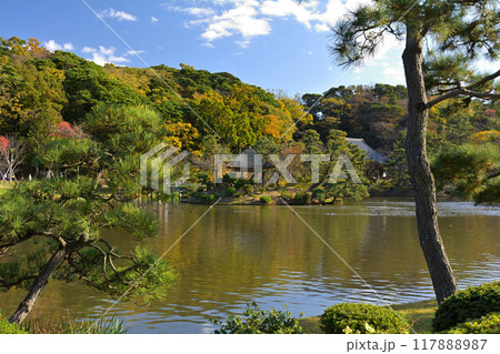 横浜・三渓園 117888987