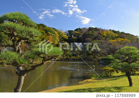横浜・三渓園 117888989