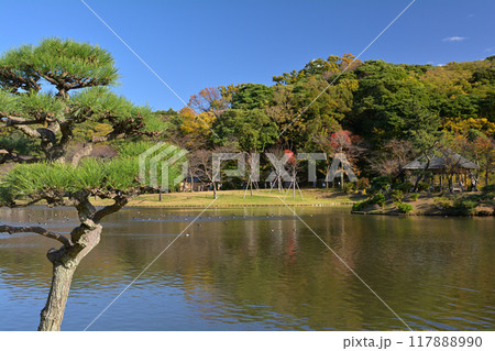 横浜・三渓園 117888990