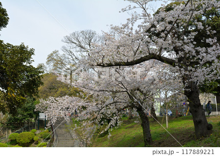 横浜・元町公園 横浜・元町公園 117889221