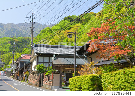 神奈川・大山 117889441