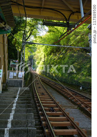 神奈川・大山 117889500