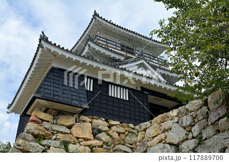 浜松城 浜松城 117889700