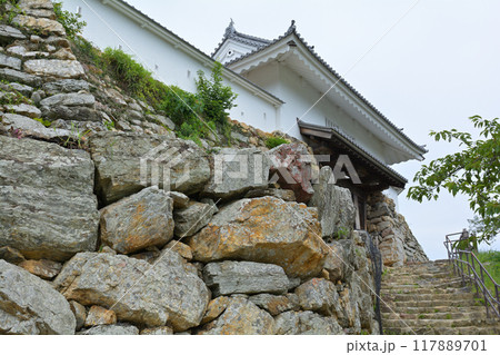 浜松城 浜松城 117889701