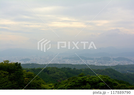 静岡・日本平 静岡・日本平 117889790