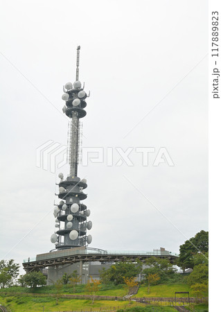静岡・日本平 117889823